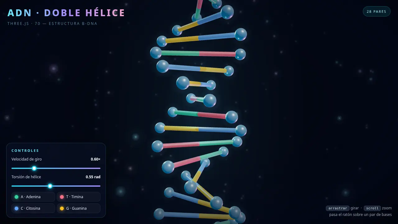DNA double helix — Muse Spark 1.3 Contributor